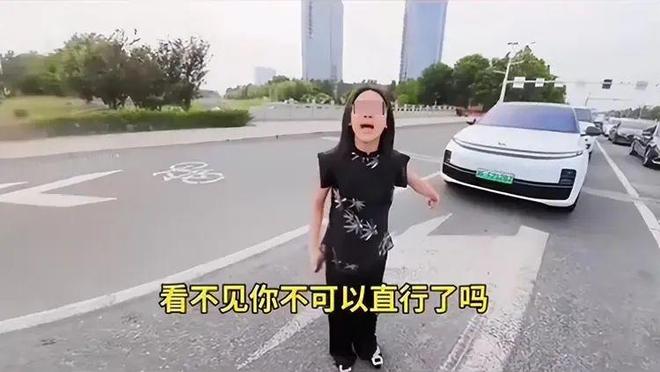 后续：女司机气到流产公布完整行车记录仪尊龙凯时app平台河北女司机与骑手冲突(图15)